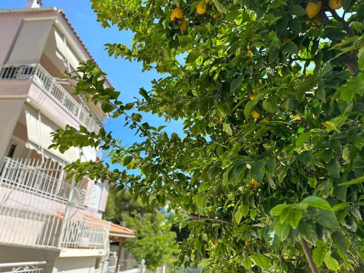 La Vita Apartments-Near Airport & Sea アルテミダ エクステリア 写真